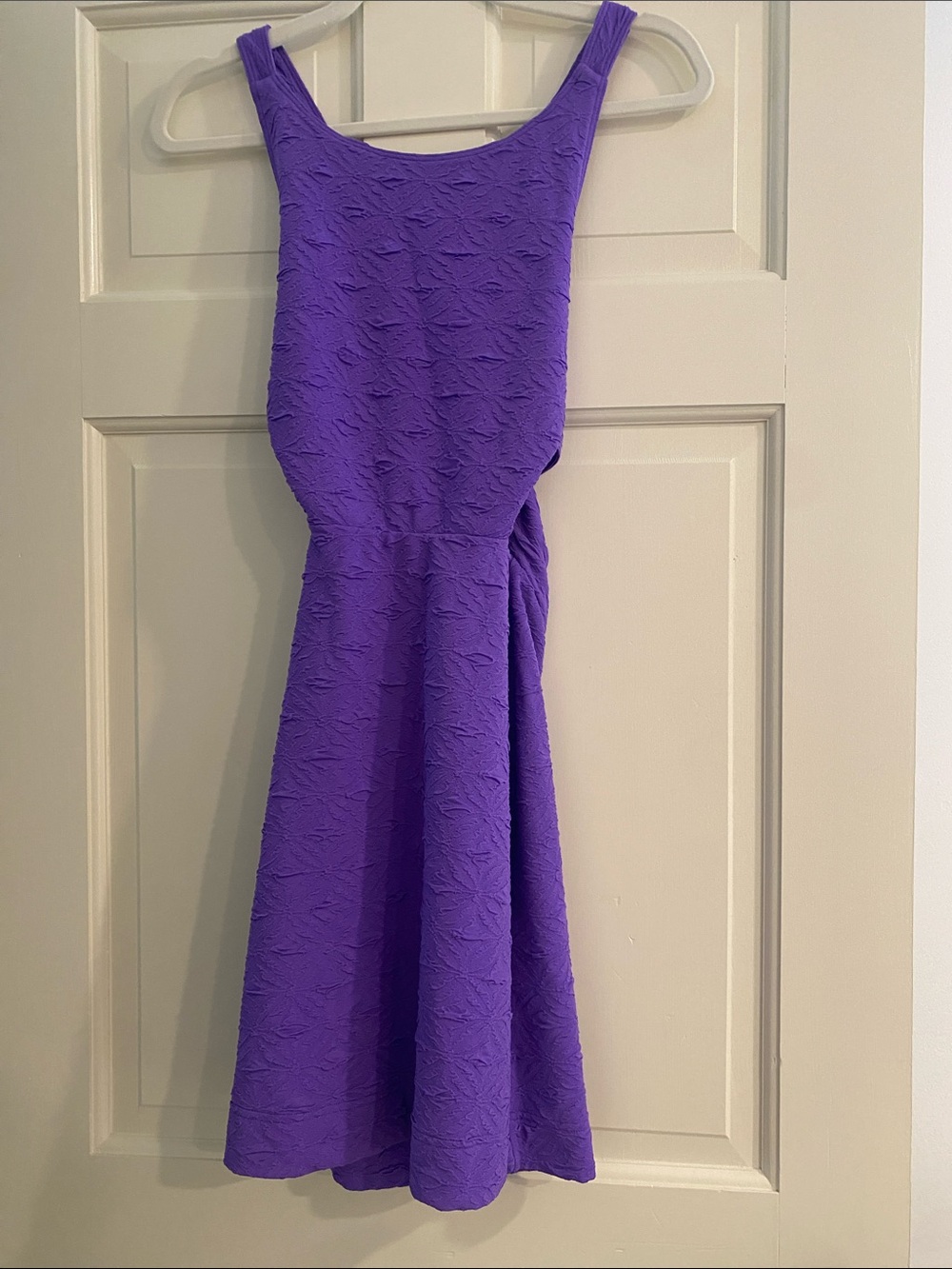 Free People Vibrant Purple Textured Fit-and-Flare Dress